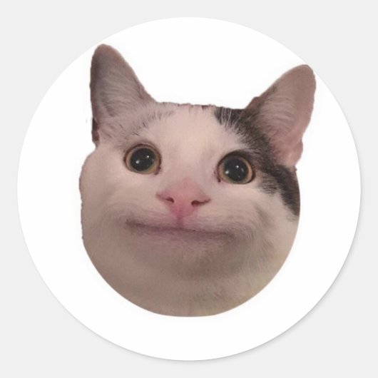 grappige kat meme ronde sticker (Voorkant)