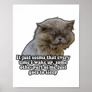 Grappige kat meme voor kattenliefhebbers en katten poster