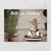 Grappige kat met cowboyhoed rijdend op stofzuiger briefkaart (Voorkant)