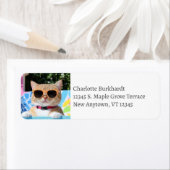 Grappige kat met een zonnebril bij het zwembad etiket (Insitu)