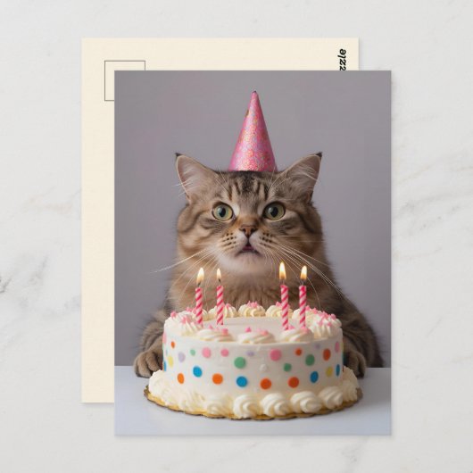 Grappige kat met verjaardagstaart briefkaart (Voorkant / Achterkant)