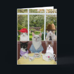 Grappige kat Moederdag of verjaardag Kaart<br><div class="desc">Grappige Moederdag of verjaardagskaart. U kunt de tekst aanpassen door het lettertype,  de tekengrootte en de kleur te selecteren. De achtergrond en de kleine kat rechtsonder zijn publiek domein.</div>