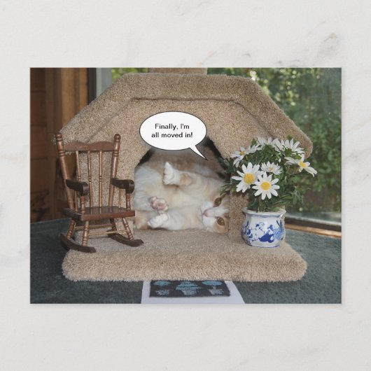 Grappige kat Nieuw adres verplaatst Aankondigingskaart (Voorkant)