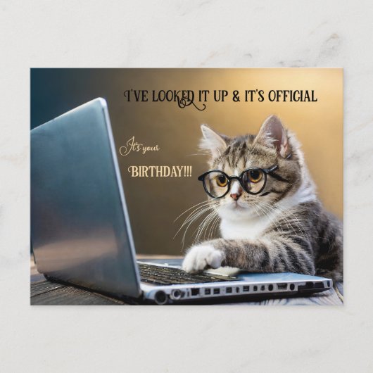 Grappige kat officiële verjaardag briefkaart (Voorkant)