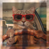 Grappige Kat Rijden Auto Shade 12" x 12" Raamsticker (Vel 2)