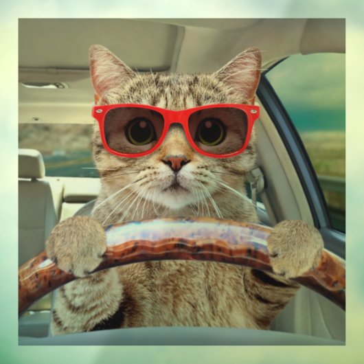 Grappige Kat Rijden Auto Shade 12" x 12" Raamsticker (Vel 3)