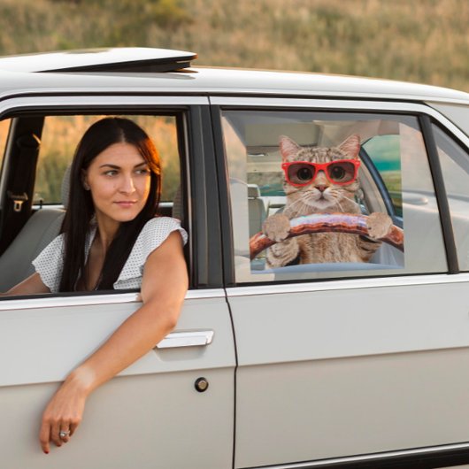 Grappige Kat Rijden Auto Shade 12" x 12" Raamsticker