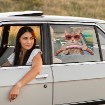 Grappige Kat Rijden Auto Shade 16" x 12"