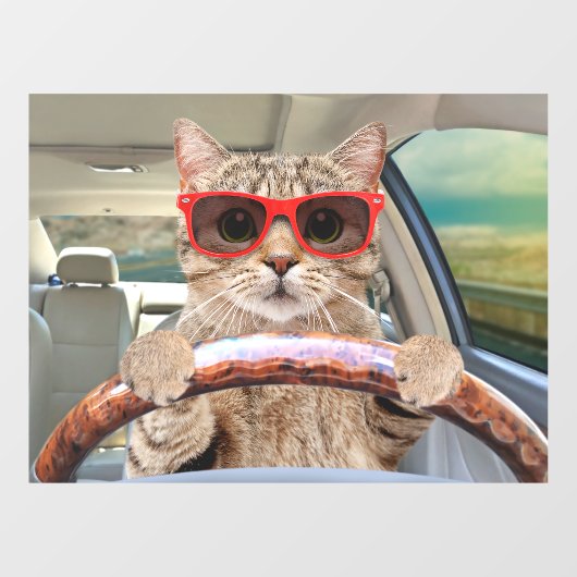 Grappige Kat Rijden Auto Shade 16" x 12" Raamsticker (Vel)