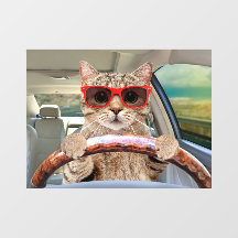 Grappige kat rijdt auto zonnescherm 11" x 8" venst