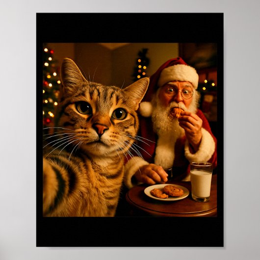 Grappige kat selfie met kerstman kerst meme poster (Voorkant)