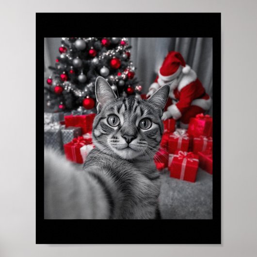 Grappige kat selfie met kerstman meme _ poster (Voorkant)