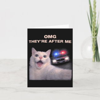 Grappige kat selfie met politie stijl meme grafisc kaart