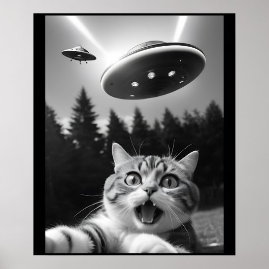 Grappige Kat Selfie met UFO Alien Poster (Voorkant)
