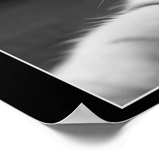 Grappige kat selfie met UFO buitenaardse drones Poster (Hoek)