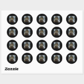 Grappige Kat Sneeuw Kitten Soldaat Selfie Met Gewe Ronde Sticker (Vel)