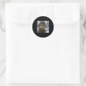 Grappige Kat Sneeuw Kitten Soldaat Selfie Met Gewe Ronde Sticker (Tas)