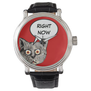 Grappige kat spraakballon nu horloge