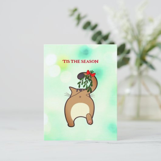  grappige kat-staartestaarten briefkaart (Staand voorkant)