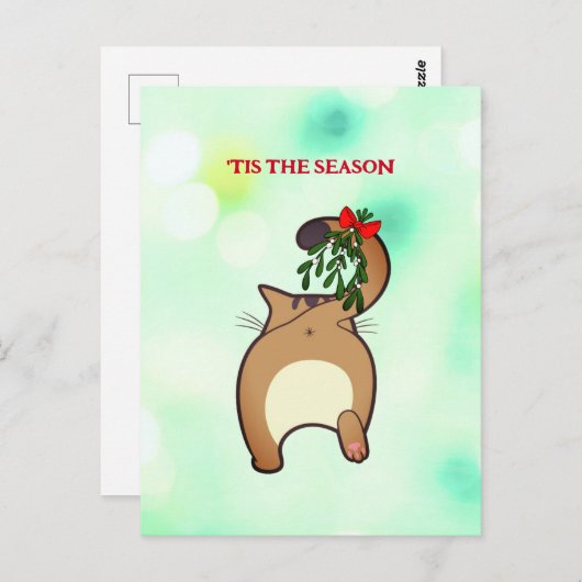  grappige kat-staartestaarten briefkaart (Voorkant / Achterkant)