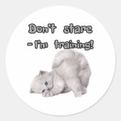 Grappige kat sticker (Voorkant)