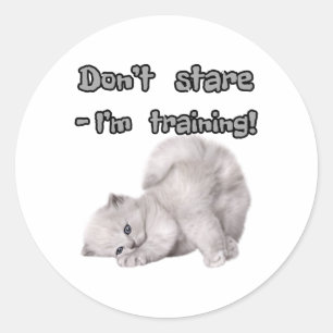 Grappige kat sticker 