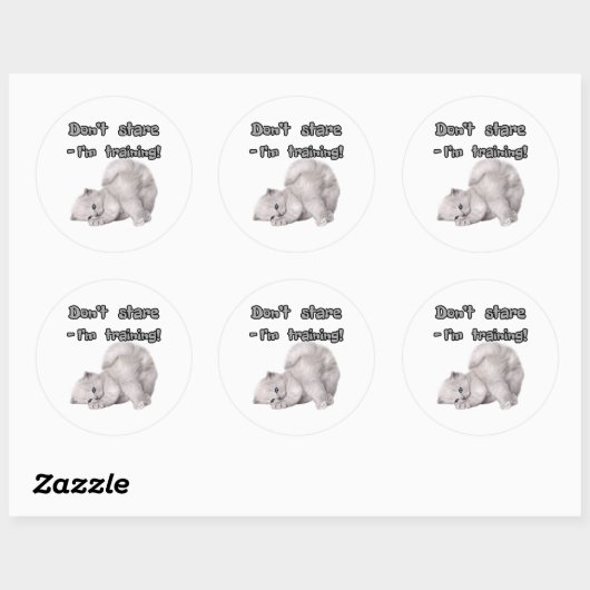 Grappige kat sticker (Vel)