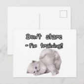Grappige kat sticker / ansichtkaart briefkaart (Voorkant / Achterkant)