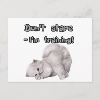 Grappige kat sticker / ansichtkaart briefkaart
