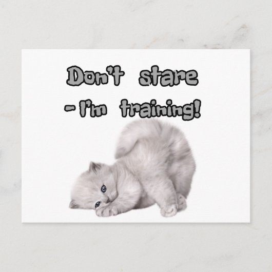 Grappige kat sticker / ansichtkaart briefkaart (Voorkant)
