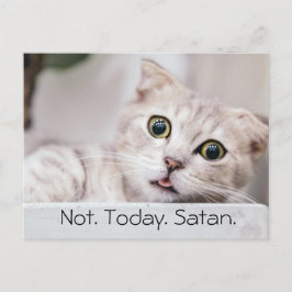 Grappige kat tekst briefkaart