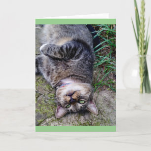 Grappige kat TENS-eenheid Kaart