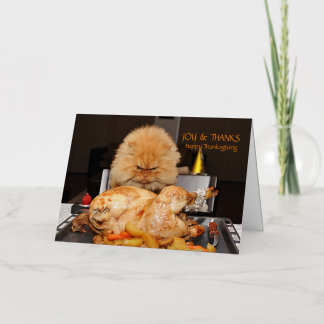 Grappige kat Thanksgiving kaart