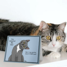 Grappige kat Vaderdag Grijze kat Blauw