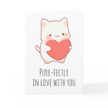Grappige kat valentijn kaarten
