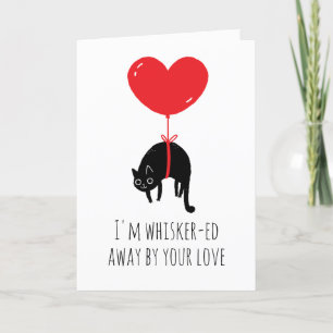 Grappige kat valentijn kaarten