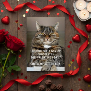 Grappige kat Valentijnsdag meme anti-Valentijn