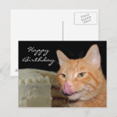 Grappige kat Verjaardag Briefkaart (Voorkant / Achterkant)