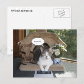 Grappige kat verplaatst nieuw adres aankondigingskaart (Voorkant / Achterkant)