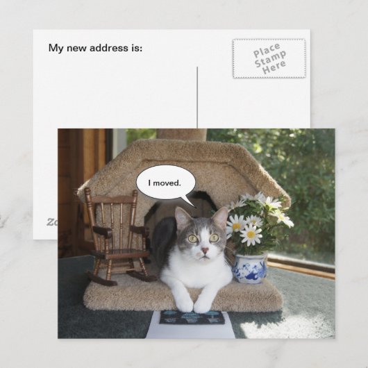 Grappige kat verplaatst nieuw adres aankondigingskaart (Voorkant / Achterkant)