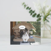 Grappige kat verplaatst nieuw adres aankondigingskaart (Staand voorkant)