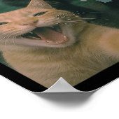 Grappige kat verrast gelukkige selfie met Bigfoot- Poster (Hoek)