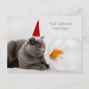 Grappige Kat & Vis aangepaste tekst Kerst briefkaa Feestdagenkaart