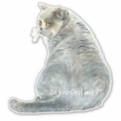 Grappige Kat Voel Je Me Sticker (Voorkant)