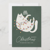 Grappige kat vrolijk kerstgroet feestdagenkaart (Voorkant)