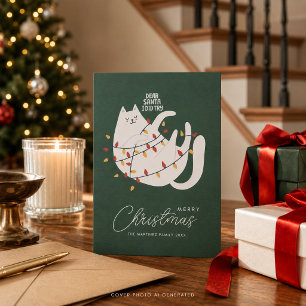Grappige kat vrolijk kerstgroet feestdagenkaart