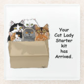 Grappige Kat Vrouw Starter Kit Humor Wit Glazen Onderzetter (Voorkant)