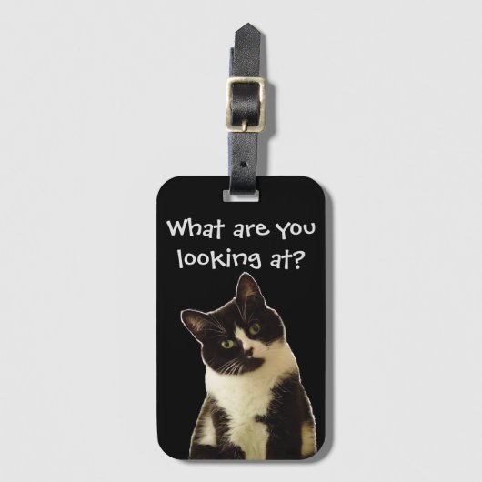 Grappige kat "Waar kijk je naar!" slogan Bagagelabel (Voorkant (verticaal))