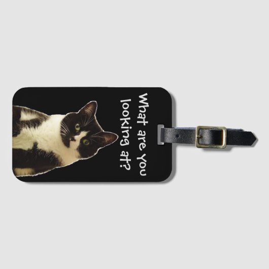 Grappige kat "Waar kijk je naar!" slogan Bagagelabel (Voorkant (horizontaal))
