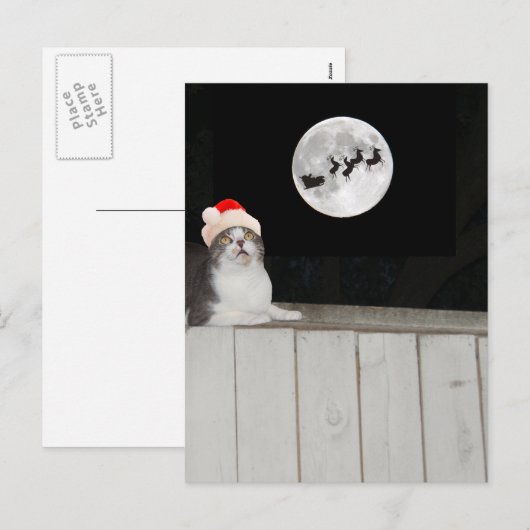 Grappige kat ziet de kerstman feestdagenkaart (Voorkant / Achterkant)